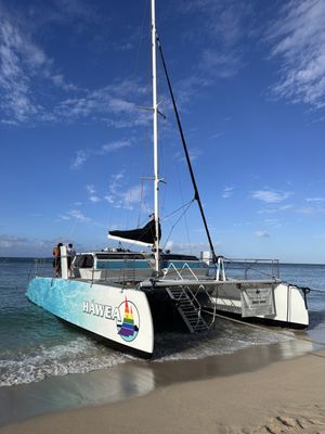 Malibu's Surf Shop ヘザーブラウン 52/62.5/2 Malibu's Surf Shop ヘザーブラウン 52/62.5/2 Malibu's Surf Shop