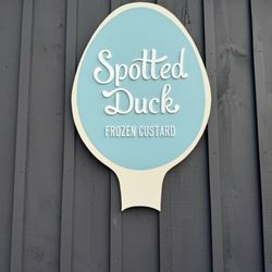 Spotted Duck