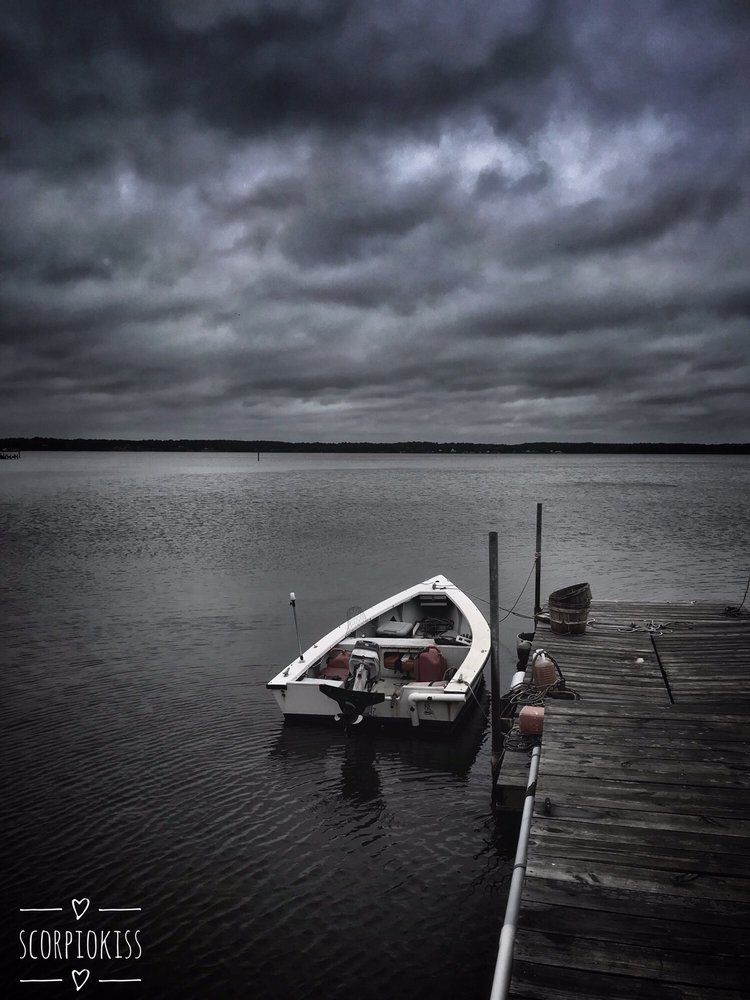 PATUXENT SEAFOOD 26 Photos 4149 School Rd, Broomes Island, Maryland