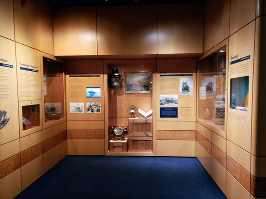 Wellington Museum by null