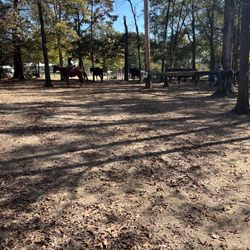 Country Time Equestrian