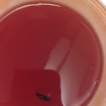 China Gourmet - A bug and a sweet and sour sauce - Chinese Near Me - Bradenton, Florida