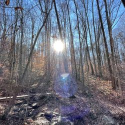 Cascades Preserve