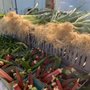 Photo of Countryside Farmers' Market At Howe Meadow