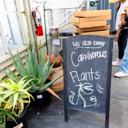 Highway 92 Succulents - carnivorous plants