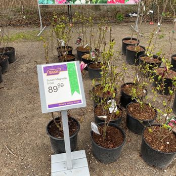 Terra Greenhouses - Home & Garden Near Me - Maple, Ontario Terra Greenhouses - Home & Garden Near Me - Maple, Ontario