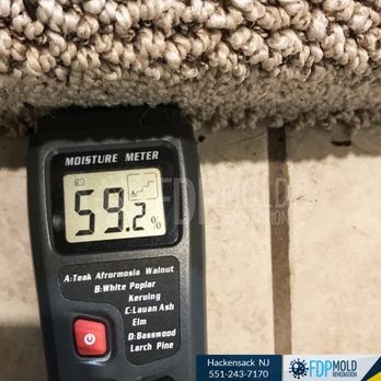 FDP Mold Remediation - Mold inspection - Damage Restoration Near Me - Hackensack, New Jersey