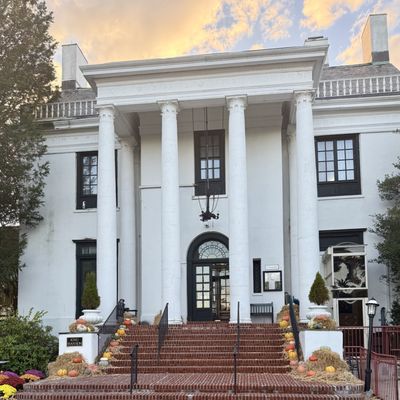 Goosefeather by null