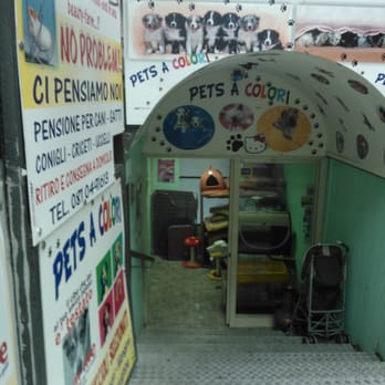 Pets a colori - Pet Stores Near Me - Naples, NA