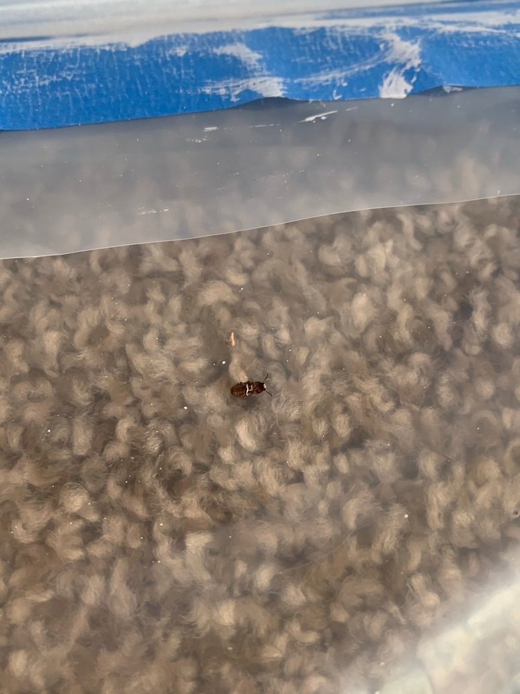 AZ PROPERTY MANAGEMENT GROUP KELLER WILLIAMS PROF. PARTNERS Updated July 2024 14 Photos