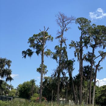 Premier Boat Tours - Boat Tours Near Me - Mount Dora, Florida Premier Boat Tours - Boat Tours Near Me - Mount Dora, Florida