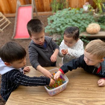 SquareCare White Peacock - Sensory activity - Child Care & Day Care Near Me - Hayward, California SquareCare White Peacock - Sensory activity - Child Care & Day Care Near Me - Hayward, California