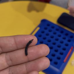 A piece of rubber/ plastic A piece of rubber/ plastic