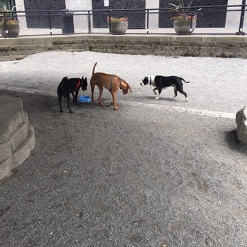 Plymouth Pillars Park - The dogs loved this park and it's super close to downtown Capitol Hill. - Parks Near Me - Seattle, Washington Plymouth Pillars Park - The dogs loved this park and it's super close to downtown Capitol Hill. - Parks Near Me - Seattle, Washington