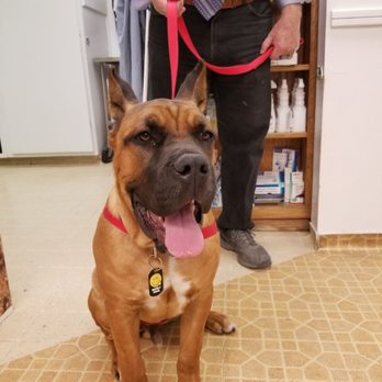 Oak Country Veterinary Services - Veterinarians Near Me - Paso Robles, California Oak Country Veterinary Services - Veterinarians Near Me - Paso Robles, California