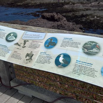 MacKerricher State Park - Parks Near Me - Fort Bragg, California MacKerricher State Park - Parks Near Me - Fort Bragg, California