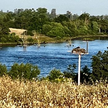 Lake Mcclure & Lake Mcswain - Osprey nest, Lake McSwain. - Campgrounds Near Me - Snelling, California Lake Mcclure & Lake Mcswain - Osprey nest, Lake McSwain. - Campgrounds Near Me - Snelling, California