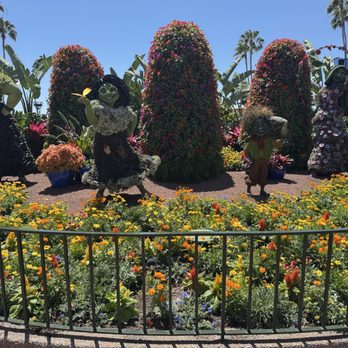 EPCOT - Flower - Amusement Parks Near Me - Lake Buena Vista, Florida EPCOT - Flower - Amusement Parks Near Me - Lake Buena Vista, Florida