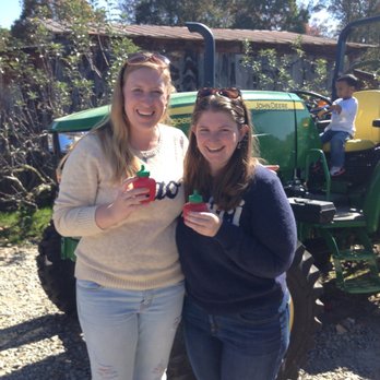 Hillcrest Orchards - Farmers Market Near Me - Ellijay, Georgia