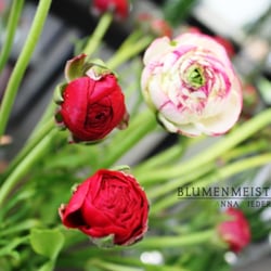 Blumenmeisterei Anna Niedermaier