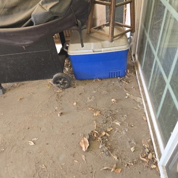 Mr Tree Services - Not clean - Masonry/Concrete Near Me Mr Tree Services - Not clean - Masonry/Concrete Near Me