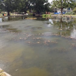 Box Hill Gardens - Not for swimming