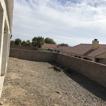 The Palm Tree Guy - a view of the back yard - Tree Services Near Me