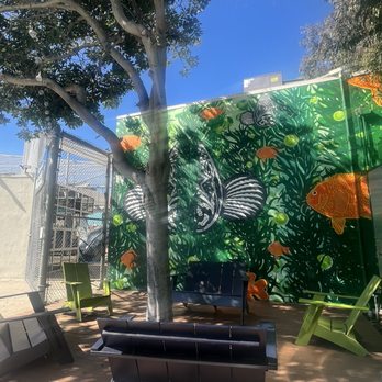 Offset Coffee - Beautiful mural & outdoor seating - Coffee & Tea Near Me - Los Angeles, California