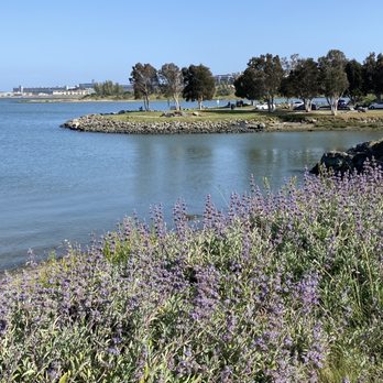 India Basin Shoreline Park - India Basin Shoreline Park - Parks Near Me - San Francisco, California India Basin Shoreline Park - India Basin Shoreline Park - Parks Near Me - San Francisco, California