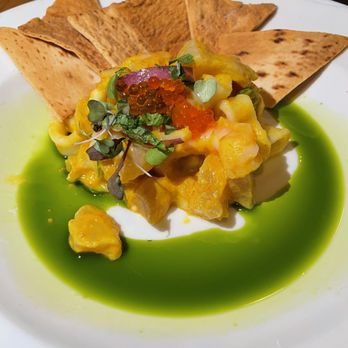 Ulele - Aji Amarillo Ceviche - New American Near Me - Tampa, Florida Ulele - Aji Amarillo Ceviche - New American Near Me - Tampa, Florida