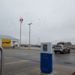 RBC Royal Bank - Drive safely