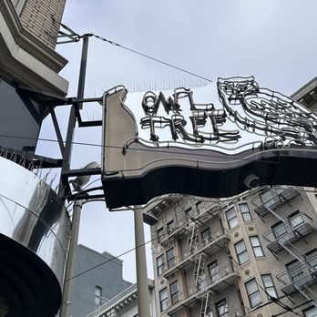 Owl Tree - Neon sign - Bars Near Me - San Francisco, California Owl Tree - Neon sign - Bars Near Me - San Francisco, California