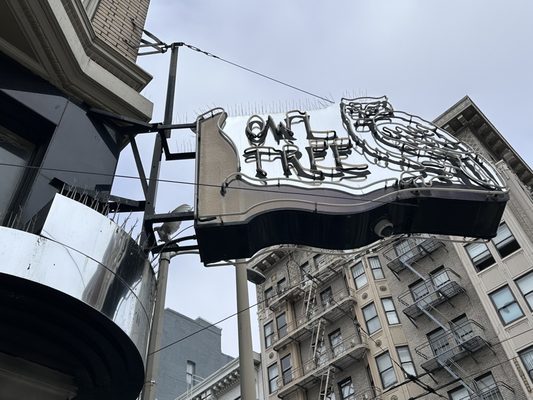 Photo of Owl Tree - San Francisco, CA, US. Neon sign