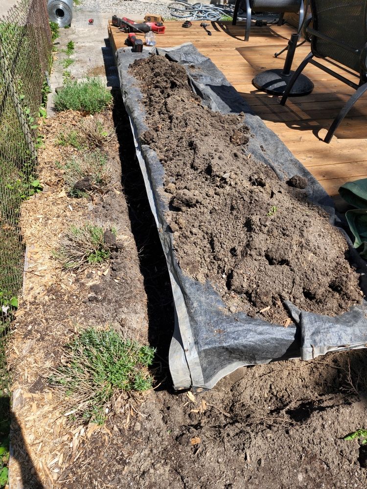 AAA KYLE’S WILDLIFE REMOVAL Updated September 2024 16 Photos Hamilton, Ontario Wildlife