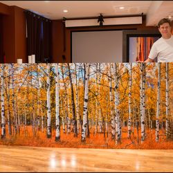 Alex Gubski Art Gallery - Huge 127" wide three panel acrylic print of Aspen Glow