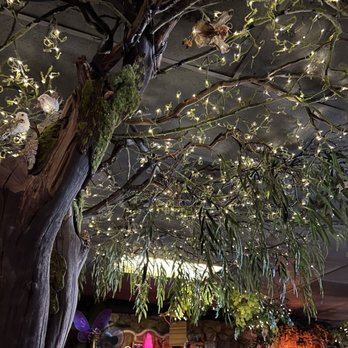 Enchanted Forest - Inside - Salad Near Me - Placerville, California
