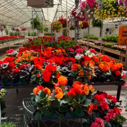Golden Acre Home & Garden - Fields of flowers