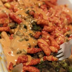 The Burger Truck - Late night fries