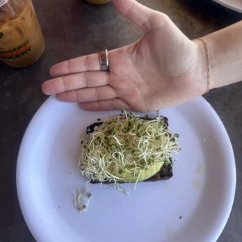 La Grande Orange Pizzeria - Avocado Toast - Pizza Near Me - Phoenix, Arizona La Grande Orange Pizzeria - Avocado Toast - Pizza Near Me - Phoenix, Arizona
