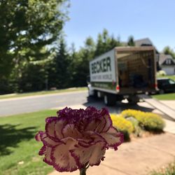 The Furniture Mart - My Becker delivery photo :)