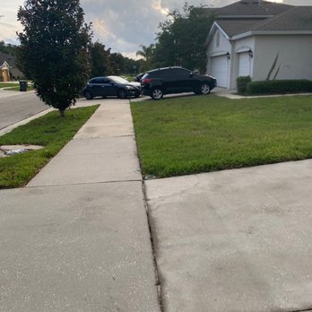 Vanguard Management Group - HOA not enforcing basic community standards and regulations - Homeowner Association Near Me - Tampa, Florida