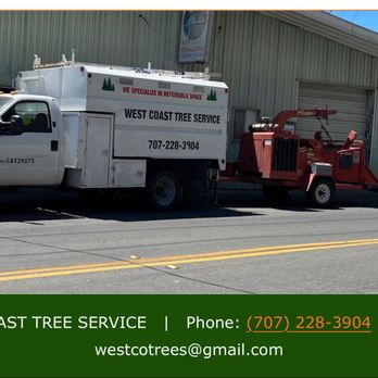 West Coast Tree Services - Tree Services Near Me - Monte Rio, California West Coast Tree Services - Tree Services Near Me - Monte Rio, California