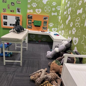 District KIDS - Vet room - Children's Museums Near Me - Oviedo, Florida District KIDS - Vet room - Children's Museums Near Me - Oviedo, Florida