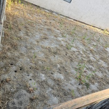 Utopia Property Management - Backyard full of dog poop. Smells on a hot day... - Property Management Near Me - Temecula, California Utopia Property Management - Backyard full of dog poop. Smells on a hot day... - Property Management Near Me - Temecula, California