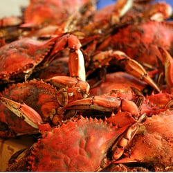 Terrapins Turf - MD CRABS & SEAFOOD SERVED THURSDAY- SUNDAY