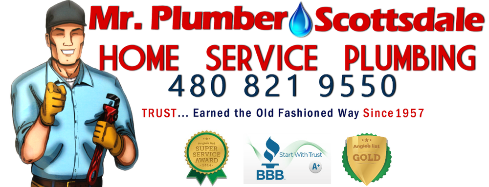 Slide of Mr. Plumber