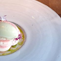 SK Mat & Människor - Gotlandic rhubarb, chamomile ice cream, butterscotch, pine, whipped cream. 2026 05 14. M1. 278.