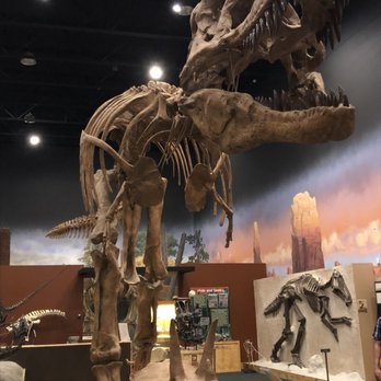 Dinosaur Park-Museum George S Eccles - Parks Near Me - Ogden, Utah Dinosaur Park-Museum George S Eccles - Parks Near Me - Ogden, Utah