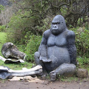 Kualoa Ranch - Tours Near Me - Kaneohe, Hawaii