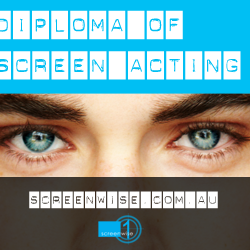 Screenwise - Diploma of Screen Acting - with VET Fee-Help